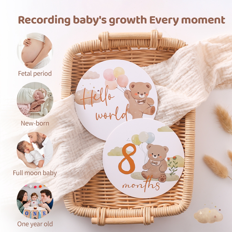Baby Paper Milestone Number Mo - Milestone Card Set review and price